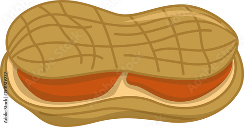 Open Peanut Shell Illustration