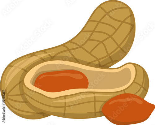 Peanuts illustration vector