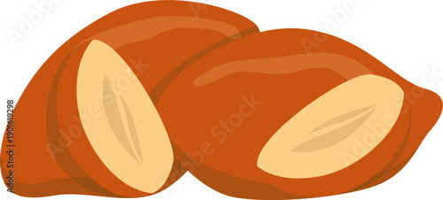 Fresh Sweet Potato Illustration