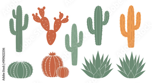Collection of Diverse Desert Cacti and Succulents in Various Shapes and Colors.