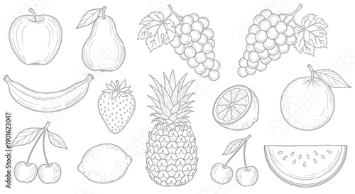 Collection of Hand Drawn Fruits and Berries in Sketch Style.