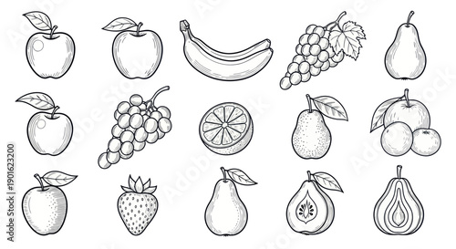 Collection of Hand Drawn Fruits in Sketch Style.