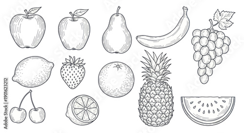 Collection of Hand Drawn Fruits in Sketch Style.
