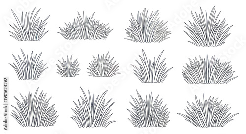 Collection of Hand Drawn Grass Clumps and Bushes in Various Shapes and Sizes.