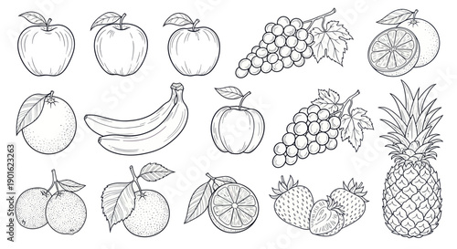 Collection of Hand Drawn Fruits in Sketch Style.