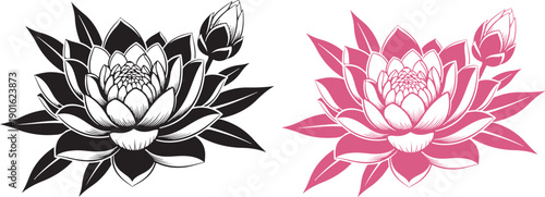 Beautiful stylized lotus flower illustrations in black and white and pink color variations