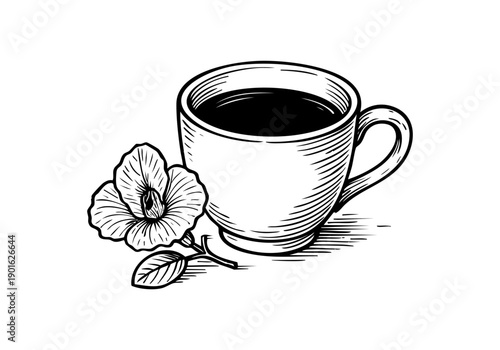 Butterfly Pea Flower Hand Drawn Illustration Vector by AZ for Books, Arts, Design and Decoration Graphic Asset