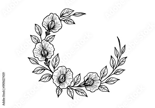 Butterfly Pea Flower Hand Drawn Illustration Vector by AZ for Books, Arts, Design and Decoration Graphic Asset