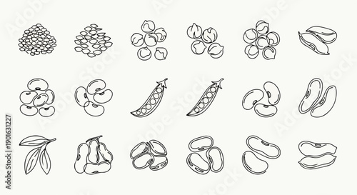 A collection of various nuts and seeds illustrated in a simple line drawing style on a clean white background, capturing a world that pulses with natural day.
