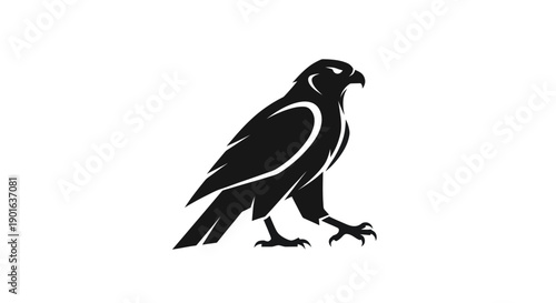 Black falcon silhouette on white background