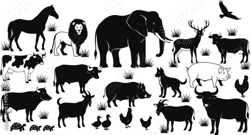 Black and white animal silhouettes illustration featuring domestic and wild species including horse, lion, elephant, eagle, cow, pig, dog, rooster, goat, buffalo, tortoise, educational design