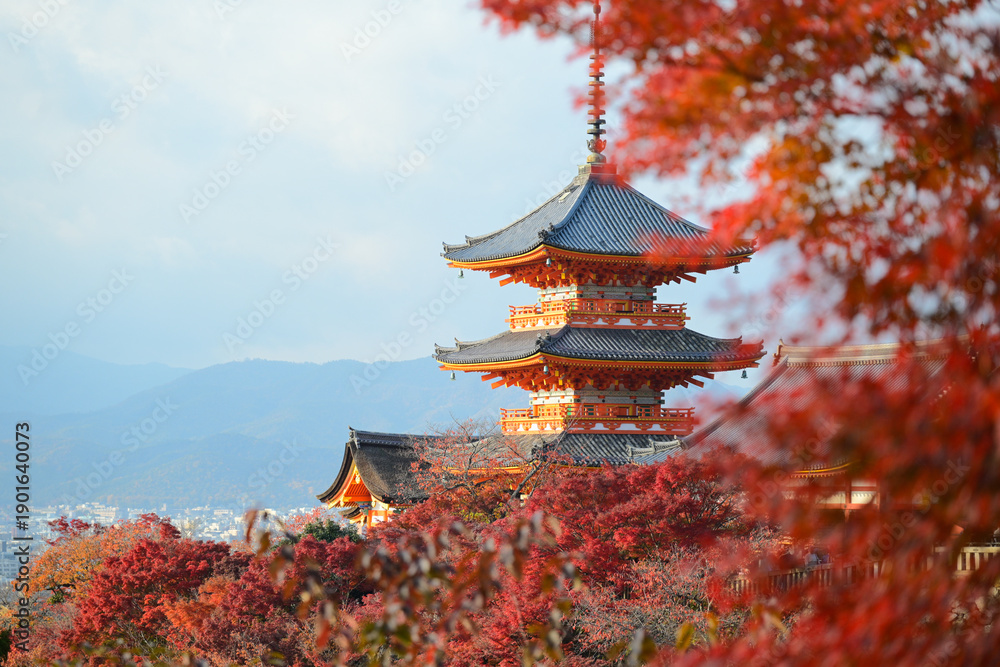 Naklejka premium kiyomizu