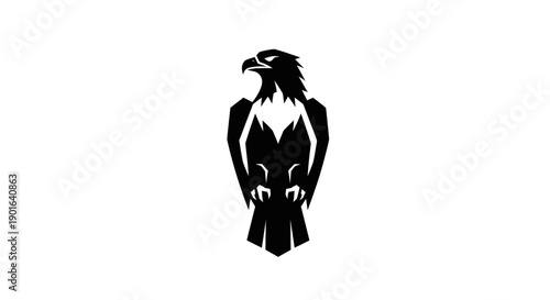 Konstfotografi Black eagle silhouette on white background