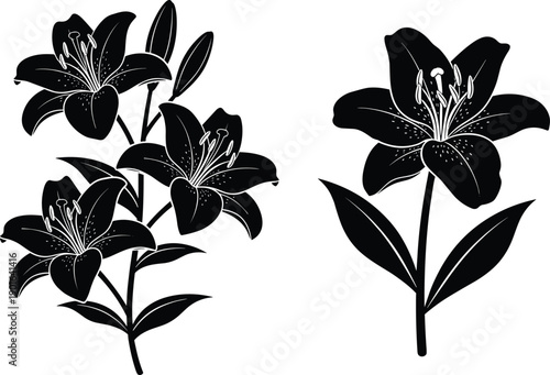 Black and white lily flower silhouettes illustration featuring blooming cluster and single stem design, elegant vector art for floral decoration, botanical education, gardening, and artistic purposes