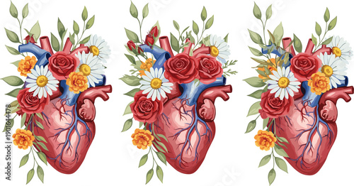 CAD Drawing Flat Vector Illustration of Anatomical Human Hearts Decorated with Roses, Daisies, Marigolds, Green Leaves, Artistic Botanical Anatomy Concept Artwork