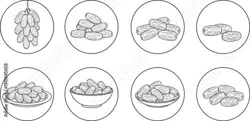 Hand Drawn Dates Fruit Icons Set in Circular Frames with Whole and Pitted Dates Bowl and Plate Vintage Sketch Vector