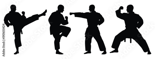 Martial Arts Silhouettes in Various Fighting Stances.