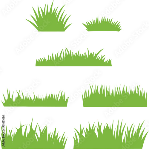 Green Grass For Field & outdoor 
