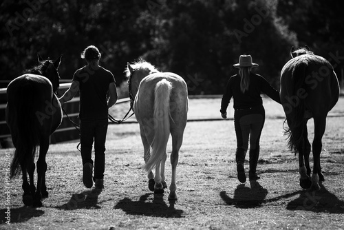 Fotografie Black & white silhouette of two people walking horses in paddock at sunset with dramatic shadows