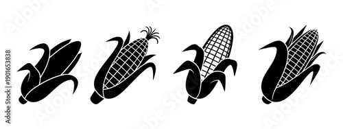 Corn cob growth stages vector illustration isolated on white background