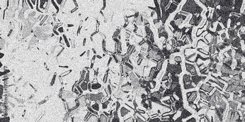 Detailed monochrome abstract texture with intricate, interconnected organic shapes and a granular noise overlay, creating a complex, almost cellular or biological pattern in grayscale