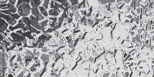 Detailed abstract grayscale texture with a network of irregular interconnected shapes and a granular overlay suitable for backgrounds and artistic visual design applications