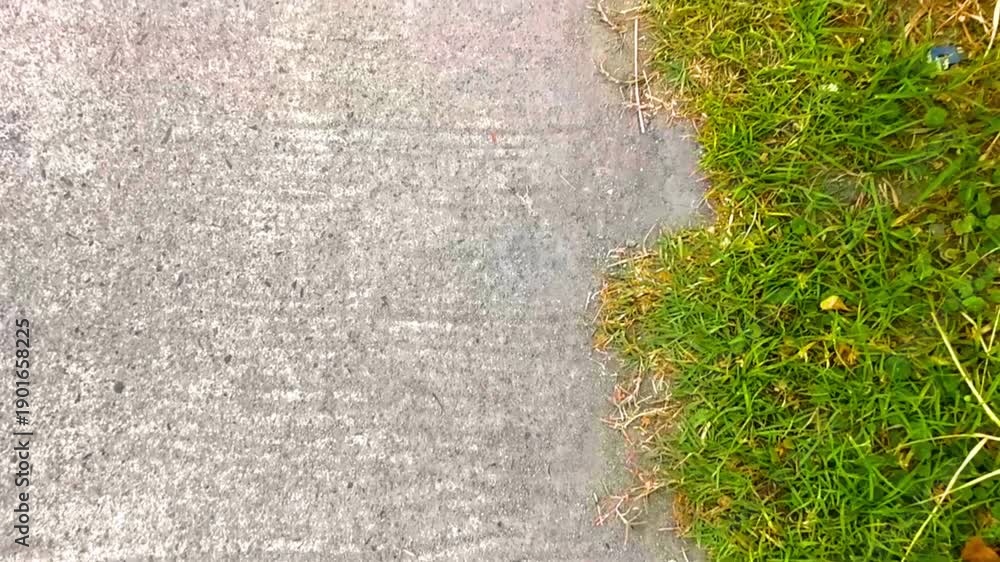 custom made wallpaper toronto digitalGravel road path way sand stones and grass edge texture.