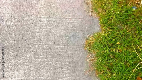 Wallpaper Mural Gravel road path way sand stones and grass edge texture. Torontodigital.ca