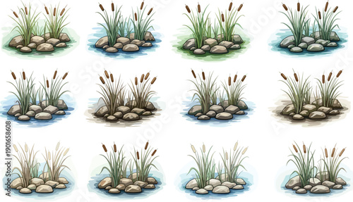 Watercolor cattail plants with river rocks and wetland grass elements featuring pond scenery, marsh vegetation, lake shore nature illustration set