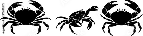 Vector illustration of three crabs in different poses on a clean white background from a front viewpoint as eps file 48.eps