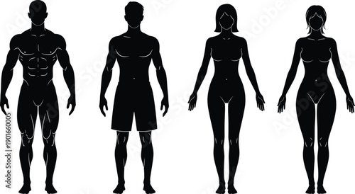 Male and female body silhouette illustration set featuring muscular and slim figures for anatomy reference fitness design fashion templates and character creation