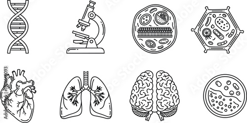 Medical science line icons set, biology laboratory symbols, DNA microscope cells organs, healthcare research outline illustration collection