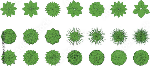 Top view plants and shrubs collection, landscape architecture foliage set, garden trees and bushes overhead vector for planning and design