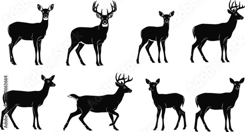 Collection of black deer and buck silhouettes with antlers in various poses isolated on white background for wildlife nature and hunting design