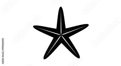 Photography Black starfish marine animal closeup.