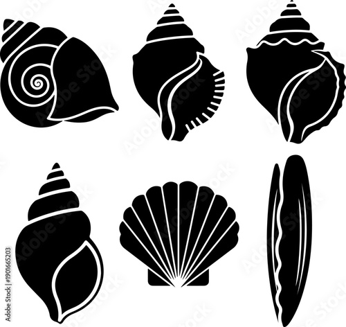 Collection of various seashells, including spiral and fan-shaped, illustrated in a graphic style on a simple background from a direct viewpoint 56.eps