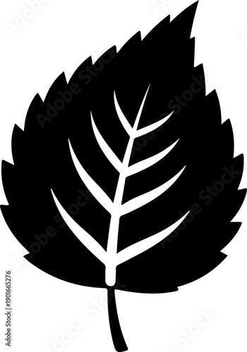 Black silhouette of a leaf with jagged edges and white veins on a simple background, viewed from the front