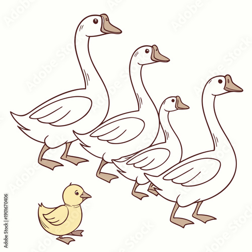 White geese and a yellow gosling walking in a line