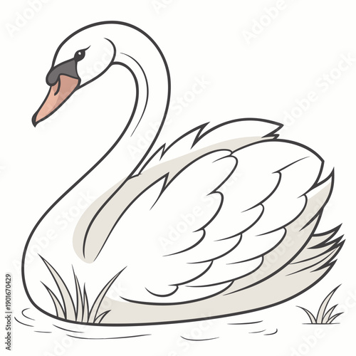 White swan swimming in water with grass bird waterfowl