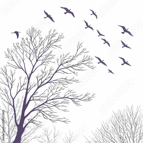 Bare trees and flock of birds in flight birds flying