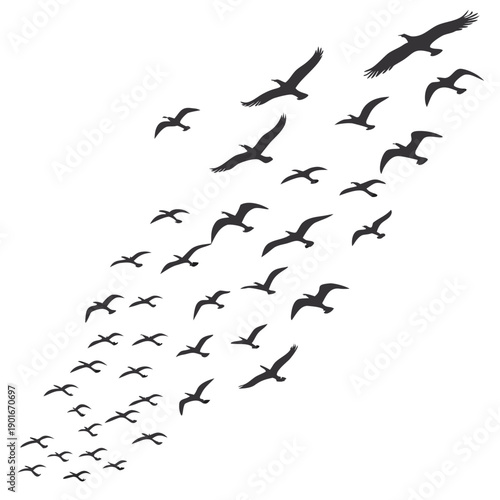 Flock of black birds flying in formation on white background