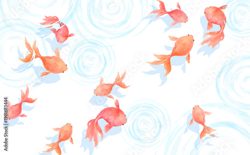 水彩風の涼しげな水で泳ぐたくさんの金魚の透過背景_横