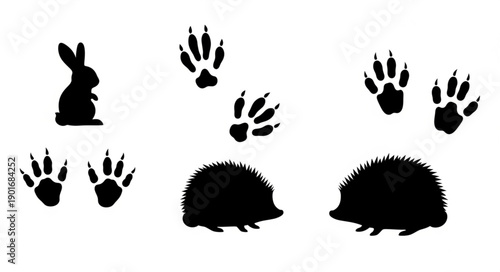 Animal footprints and silhouettes of a rabbit and hedgehogs.