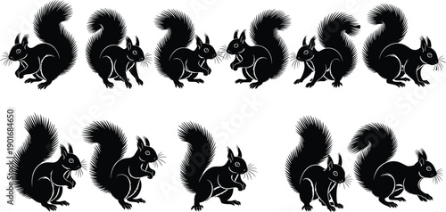 Black squirrel silhouette set with multiple playful and standing poses isolated on white background vector wildlife illustration collection