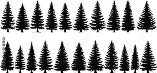 Evergreen pine tree silhouette set featuring multiple conifer forest trees isolated on white background vector illustration collection for nature design projects