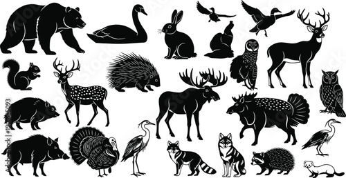 Large set of forest wildlife animal silhouettes collection featuring deer bear rabbit birds mammals isolated on white background vector illustration