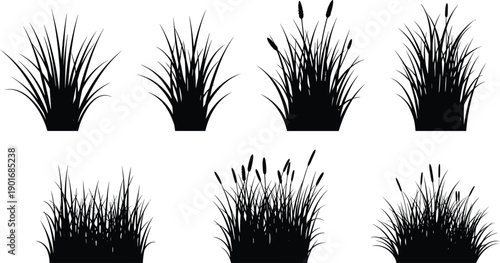 Set of grass and reeds silhouettes collection natural plants meadow and wetland vegetation isolated on white background vector illustration