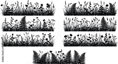 Wild meadow grass silhouette border set with wildflowers and fern plants isolated on white background vector illustration collection