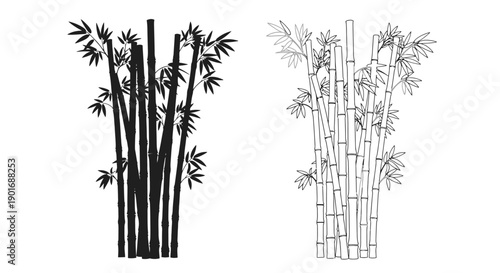 Black and white illustrations depicting clusters of bamboo stalks with foliage