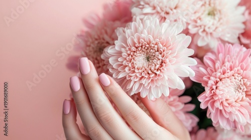 Delicate Hand with Pink Nail Polish and Pink Chrysanthemum Flowers